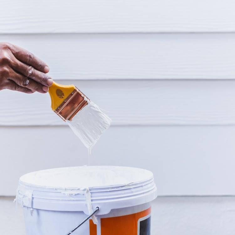 Residential Painting Services in Tampa, FL